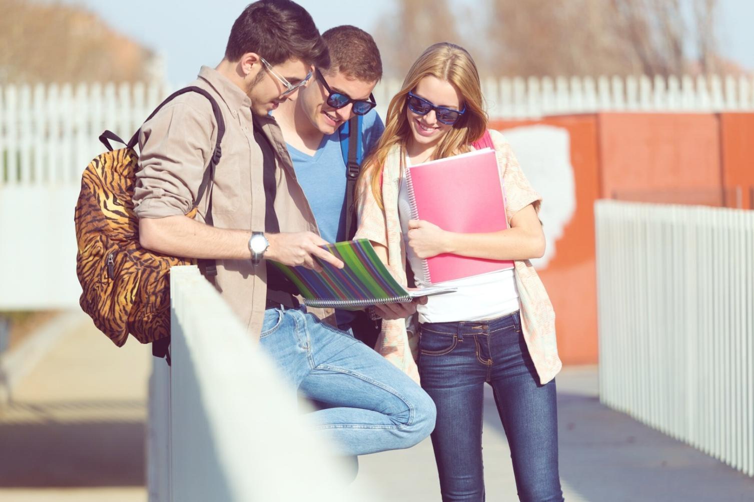 Grafice financiare și materiale educaționale folosite în sesiuni de formare